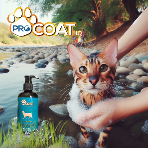 ProcoatHQ Pet - Premium Pet Shampoo 1000ml (Skin Problem) - Image 4