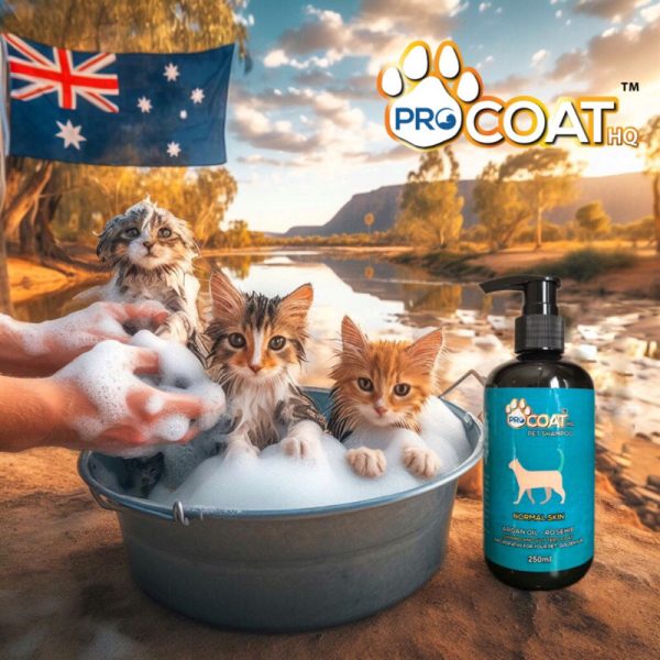 ProcoatHQ Pet - Premium Pet Shampoo 1000ml (Skin Problem) - Image 3