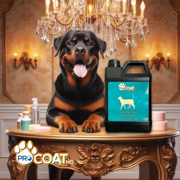 ProcoatHQ Pet - Premium Pet Shampoo 2000ml (Skin Problem) - Image 4