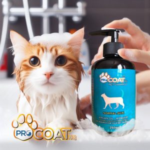 procoat-3 procoat-3